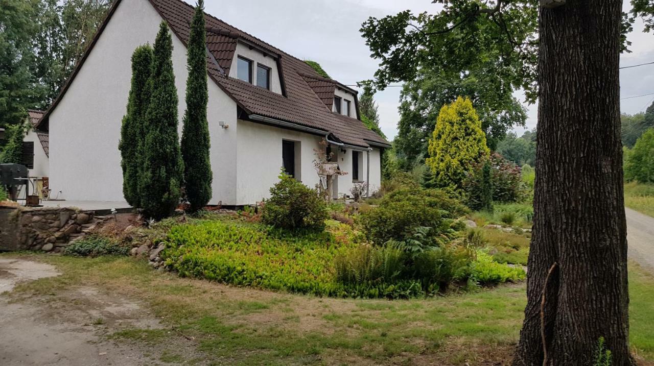 Ferienwohnung "Waldfrieden" Altdobern Exterior foto